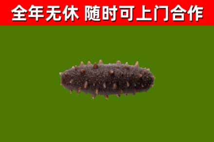 息烽烟酒回收干海参.jpg